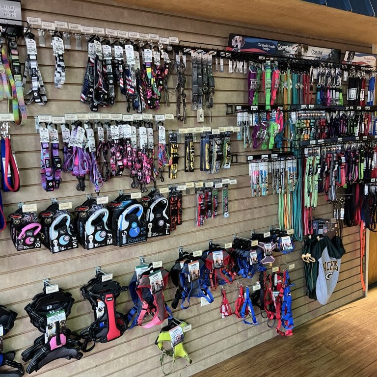 pet toys in racine, pet food in racine, pet supplies in racine